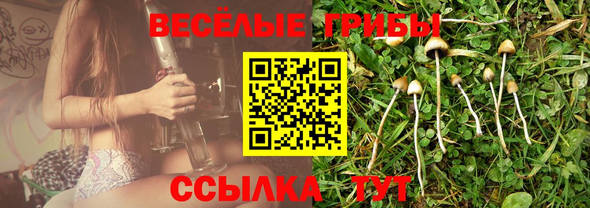 Конопля Железногорск