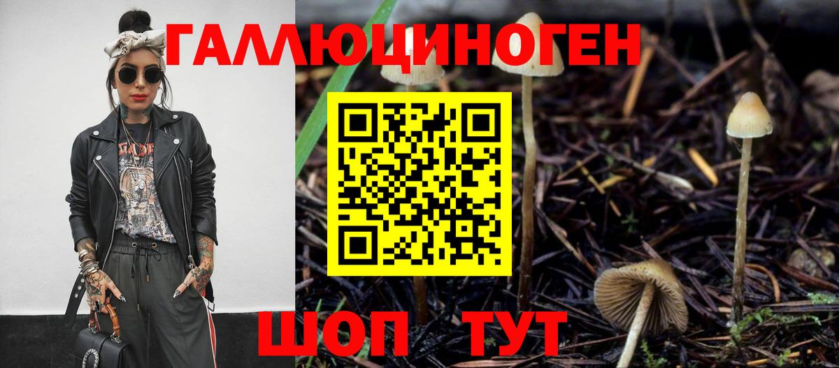 Железногорск  цены   Вход с VPN  Псилоцибиновые грибы Psilocybine cubensis 